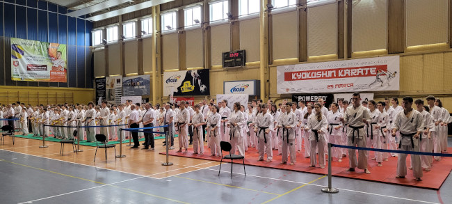 Mistrzostwa Podkarpacia Karate 2023